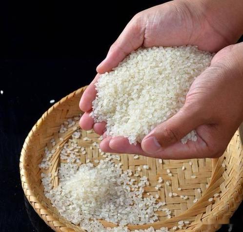 梦见别人给我大米种子是什么意思