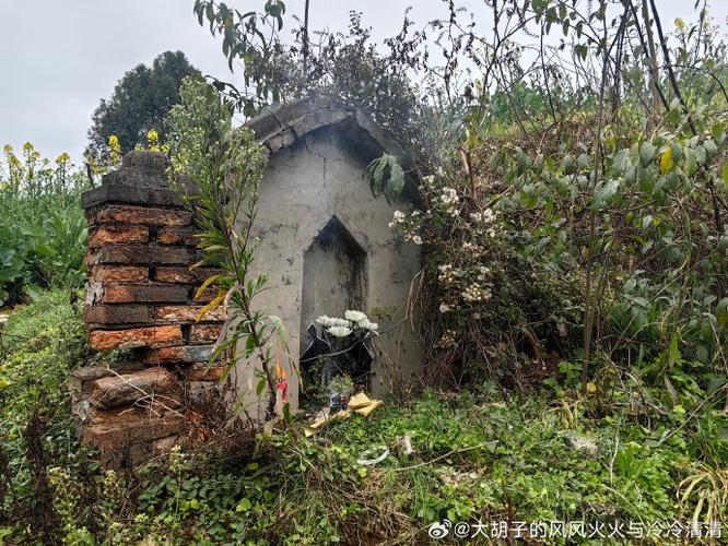 梦见坟墓外面有鸡笼预示什么